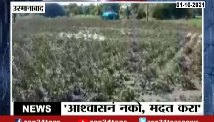 Osmanabad Farmers Reaction On Standing Crops Loss From Heavy Rainfall