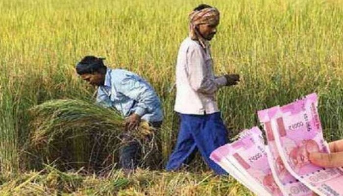 PM Kisan Sanman | लाभार्थ्यांचा मृत्यू झाल्यास कोणाला मिळते रक्कम; जाणून घ्या सविस्तर