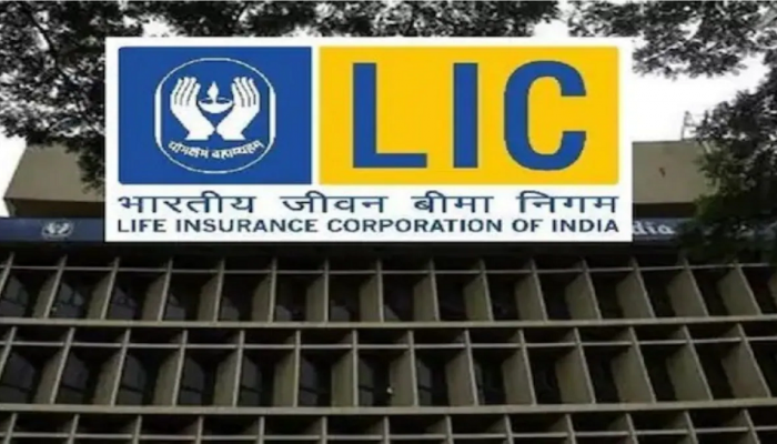 IPO Update | याच आर्थिक वर्षात LIC ची शेअर मार्केटमध्ये एन्ट्री? जाणून घ्या कंपनीचे नियोजन