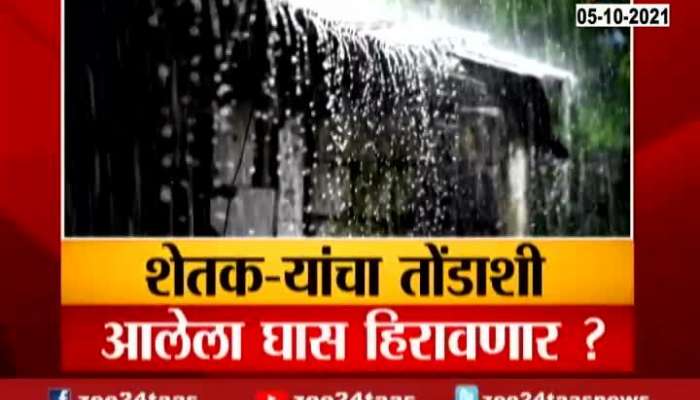 Yellow Monsoon Alert In Maharashtra Update At 06 Pm