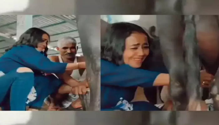 Neha Kakkar वर का आली म्हशींच्या गोठ्यात जायची वेळ ?
