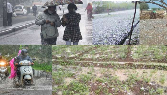 राज्यातील &#039;या&#039; जिल्ह्यात जोरदार गारपीट, द्राक्ष - मका पिकांचे मोठे नुकसान