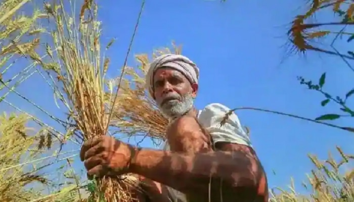 शेतकऱ्यांना आयुष्यभर मिळणार 3000 रुपये पेंशन; फक्त करावे लागणार हे काम