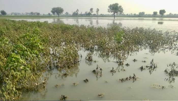 राज्य सरकारकडून अतिवृष्टी आणि पूरग्रस्तांसाठी २ हेक्टरचा निकष वापरुन मदत