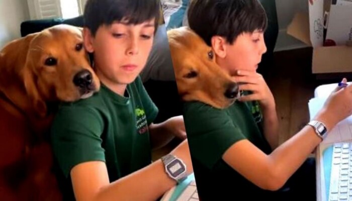 कुत्र्याने पुर्ण केला मुलाचा होमवर्क, VIDEO व्हायरल