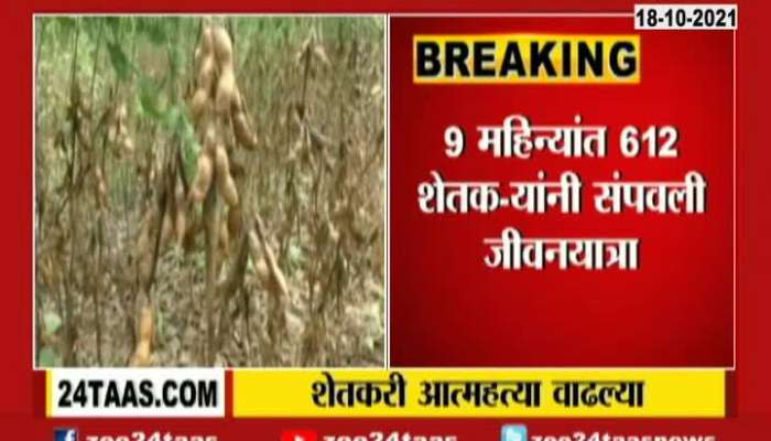 Maharashtra Rise In Farmer Suicide After Damage Of Crops From Heavy Rainfall