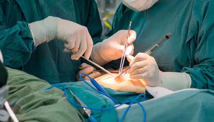 प्रत्यारोपणासाठी वापरली डुकराची किडनी, जगातील पहिली यशस्वी शस्त्रक्रिया