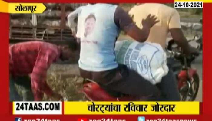 Solapur Accident At Hens Truck,Rush To Stole Hens