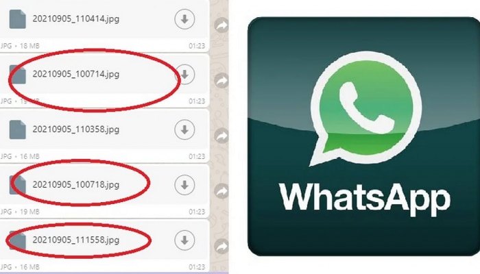 WhatsAppवर कागदपत्रे पाठवताना नंबर का येतात? यामुळे तुम्हाला बरेच काही कळू शकते