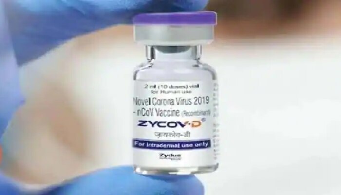 Zydus Cadila Vaccine : किंमत निश्चित! जाणून घ्या एका डोससाठी किती पैसे मोजावे लागतील?