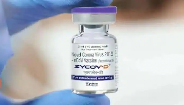 Zydus Cadila Vaccine : किंमत निश्चित! जाणून घ्या एका डोससाठी किती पैसे मोजावे लागतील?
