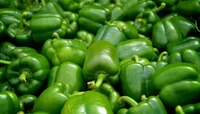 Vegetable Price : बाजारात ढोबळीला चांगलाच भाव, दर शंभरी पार 
