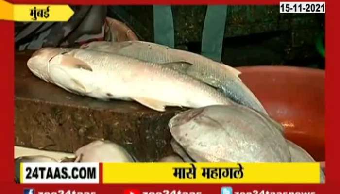 Mumbai Fort Fish Market Fish Price Increase