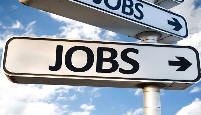 Jobs | सरकारी बँकेत बंपर भरती सुरू, जाणून घ्या पदसंख्या, अर्ज करण्याची प्रक्रिया