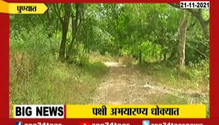  Pune Mutha River Birds Sanctuary On Crisis