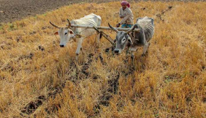 PM Kisan: सरकारने PM किसान योजनेत केले मोठे बदल! जाणून घ्या