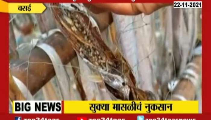 Damage To Dry Fish By Sudden Rainfall Fisherman Demand Aid