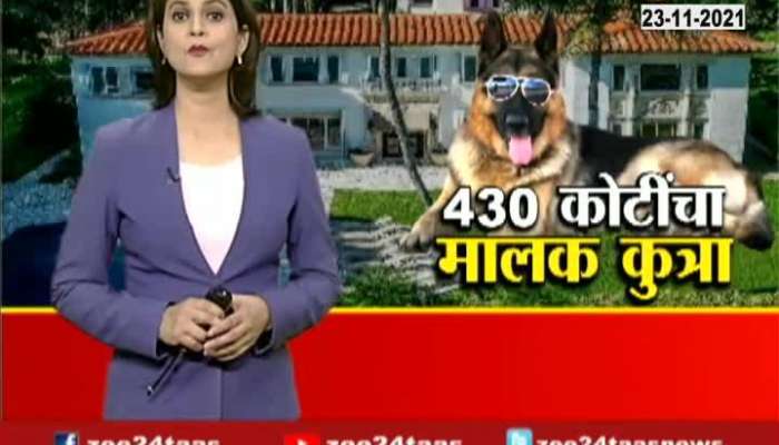 Report On 430 Crore Owner Dog