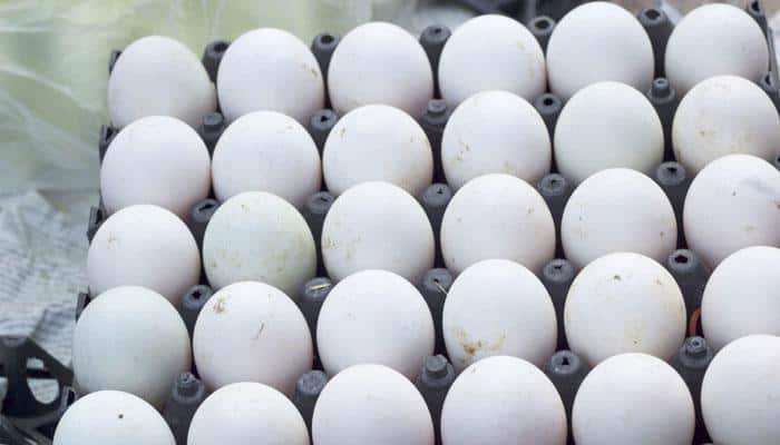 Eggs : अंड्यासोबत कधीच खाऊ नयेत या गोष्टी, होऊ शकते एलर्जी