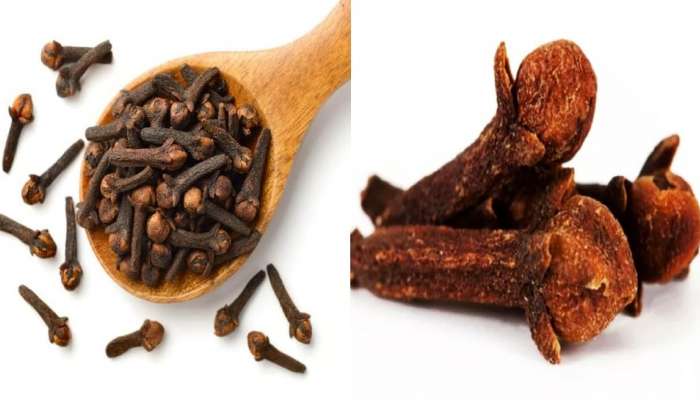 Benefits of cloves: विवाहित पुरुषांनी या वेळी 2 लवंग खाल्याने होतो जबरदस्त फायदा