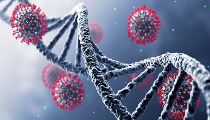 Coronaचा नवीन व्हेरिएंट B.1.1.529 का मानला जातोय अधिक धोकादायक?