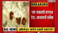 Video : आफ्रिकेतून आलेला प्रवाशी क्वारंटाईन; टेस्टच्या अहवालाची प्रतिक्षा