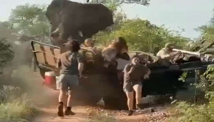 VIDEO : पर्यटकांवर हत्तीचा भयाण हल्ला, व्हिडीओ पाहून बसेल धडकी 