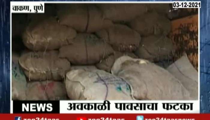 Pune Chakan Farmers On No Buyers For Wet Onion And Potatos