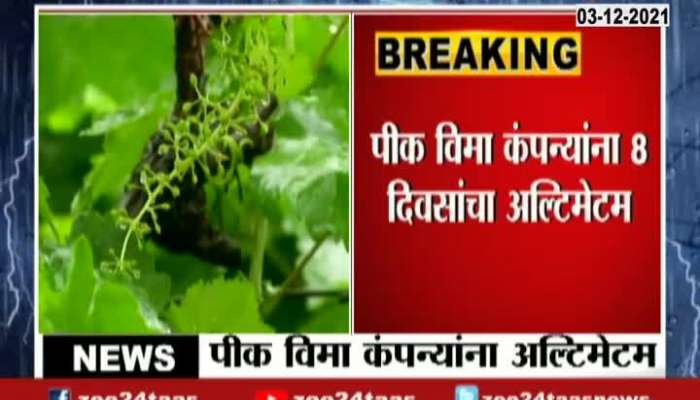Maharashtra Agriculture Minister Dada Bhuse Ultimatum To Crop Insurance Company
