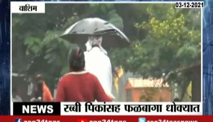   rain in  Maharashtra