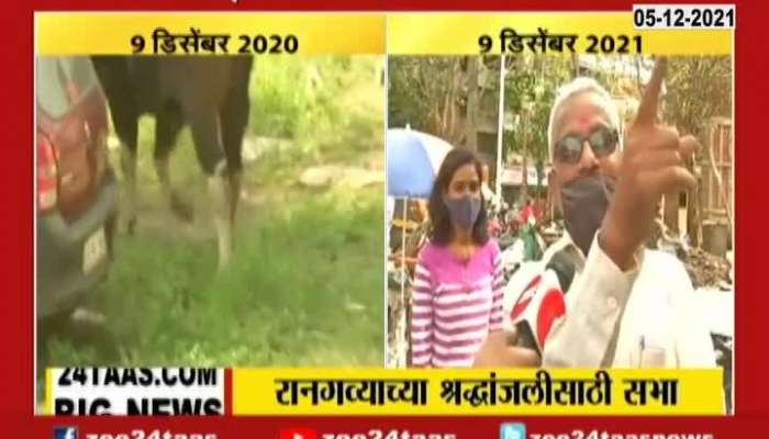 Pune People To Pay Tribute To Indian Bison On One Year Completed Update