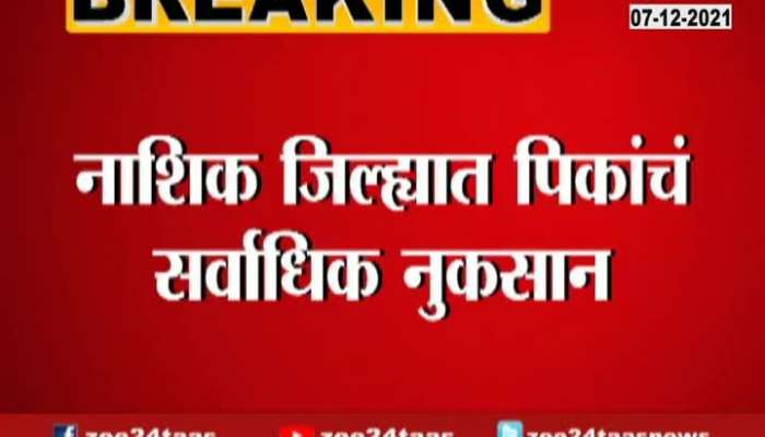  Nashik Worst Effected From Uncertain Rainfall In Winter