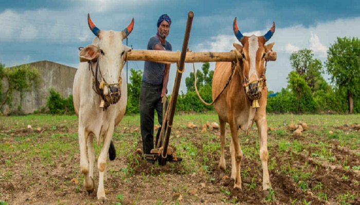 Pm Kisan Yojana | मोदी सरकारची शेतकऱ्यांना मोठी भेट; लवकरच खात्यात जमा होणार पैसे