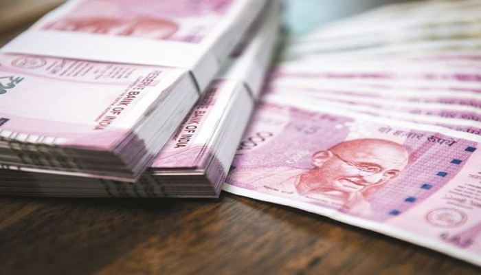 Small Business Idea : सरकारच्या मदतीने सुरू करा हा व्यवसाय आणि महिन्याला लाखों कमवा