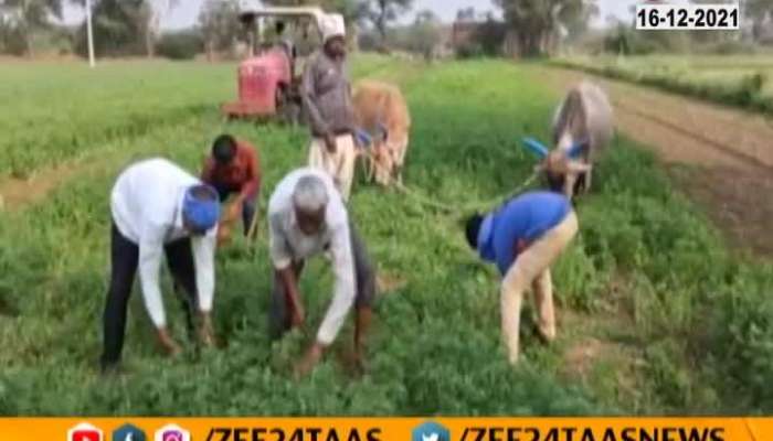Farmers To Get Special Identification Card To Get All Facility From Centre