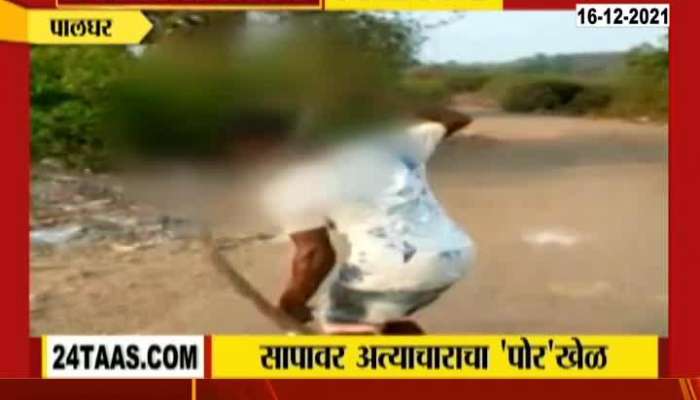 Palghar Boy Skipping With Snake