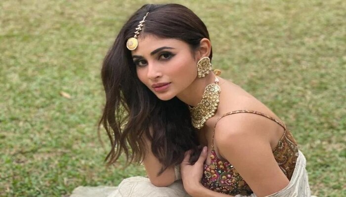  लग्नाआधी Mouni Roy कडून मोठी इच्छा पूर्ण, हे होते साथीदार 