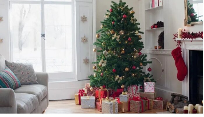 घरात Christmas Tree ठेवणं शुभ की अशुभ? वास्तुशास्त्राचं उत्तर पाहून विचारात पडाल