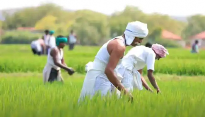 PM Kisan! या तारखेला शेतकऱ्यांच्या खात्यात येणार 4 हजार रुपये; यादी करा चेक