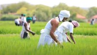PM Kisan! या तारखेला शेतकऱ्यांच्या खात्यात येणार 4 हजार रुपये; यादी करा चेक