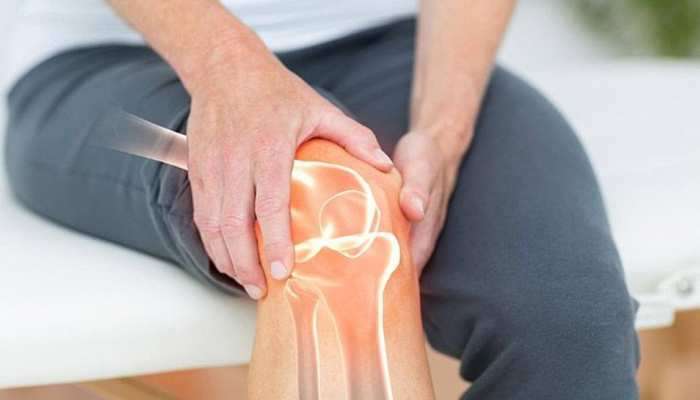 Bone Health: हाडे मजबूत करण्यासाठी आहारात या गोष्टींचा आताच करा समावेश