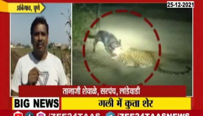 Pune Ambegaon Dog And Leopord Fight Update
