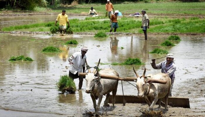 PM Kisan Alert | ई-केवायसी नसेल तर योजनेचा लाभ बंद; या पद्धतीने करा चेक