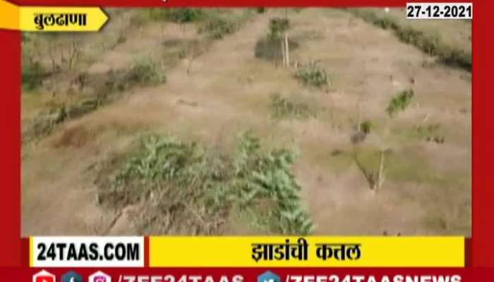  Buldhana Trees Cut In 80 Acre Of Land.