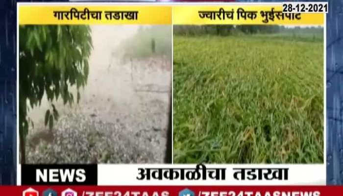 Aurangabad Heavy Rain Farmers Reaction