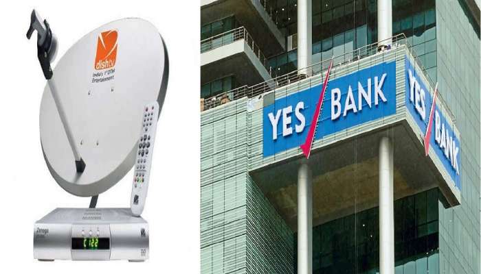 Dish TV ची Yes Bank विरोधात मुंबई हायकोर्टात धाव, शेअर ट्रान्सफर न करण्याची मागणी 
