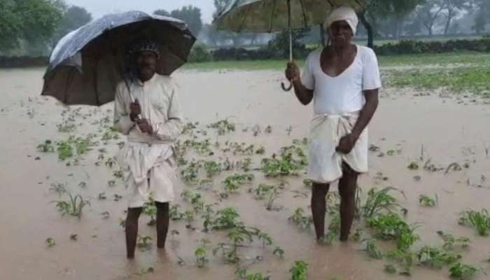 राज्यात अवकाळी पावसाचं थैमान, गारपीट, पावसानं बळीराजा पुन्हा संकटात
