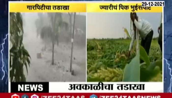 Aurangabad Farmers In Distress As Crops Damage From Uncertain Rainfall