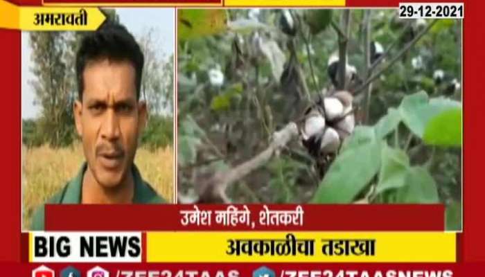 Amravati Farmers Reaction On Damage From Uncertain Rain And Panchnama