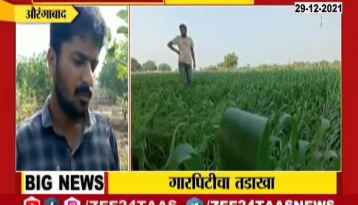 Aurangabad Hailstorm Impact Farmers Reaction